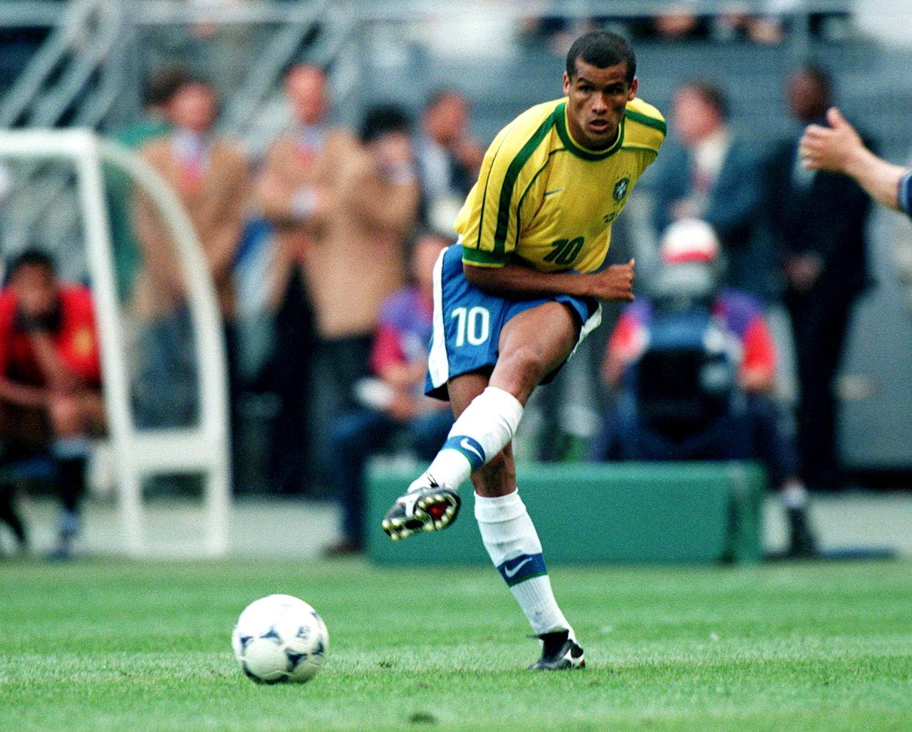 们提供了发 们提供了发